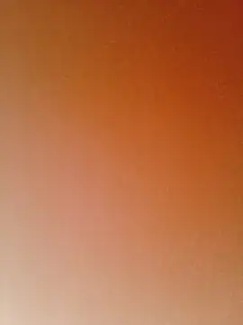 anhphi01 webcam