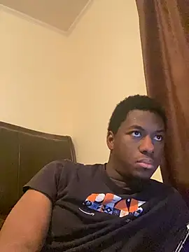 ThickDic28 webcam