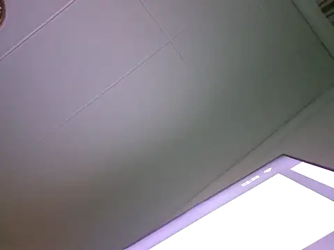 Pollon41x webcam
