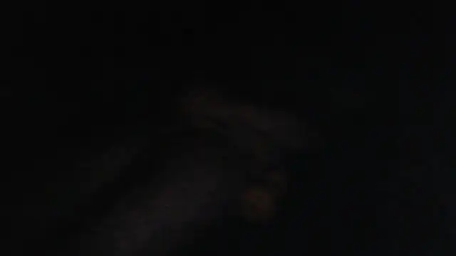 Prehistorixxx2686 webcam
