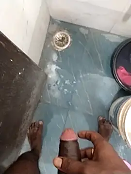 Wet_BunnyFun webcam