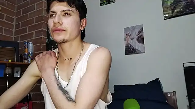 PaulDamico webcam
