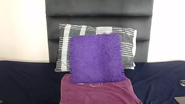Ldidii webcam