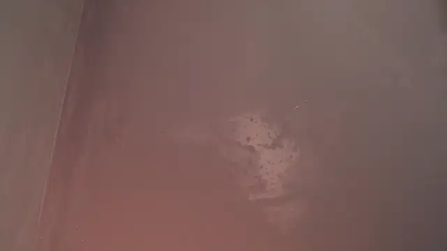 AngeloBellini webcam
