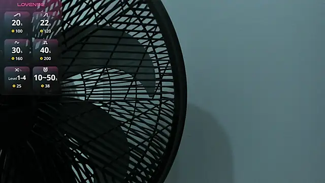 Ellen_Sweet_ webcam