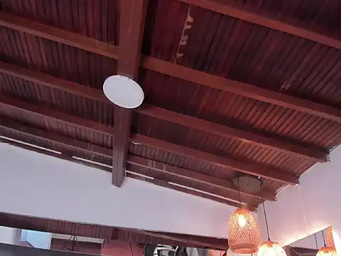 sophi_star webcam