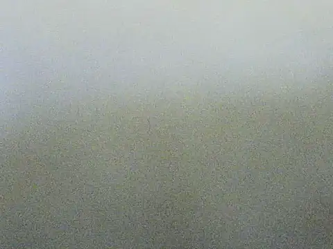 roadies webcam
