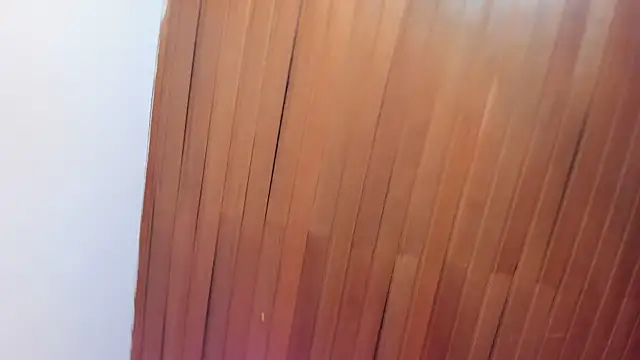 nikolevoshkie_ webcam