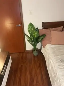 Suki_3 webcam
