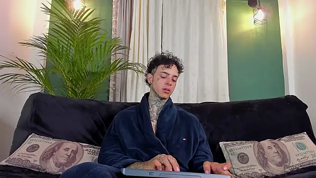 Aron_ford webcam