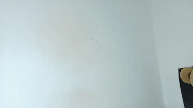 Natashaparker__ webcam