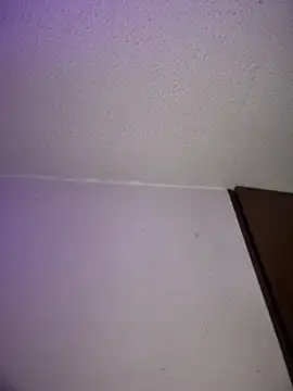 aurora_divine webcam