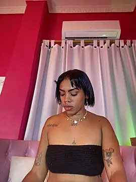 NovaFoxx webcam