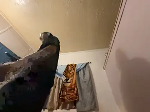 ThrowedWorldWide webcam