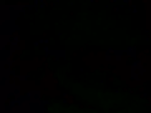 82liska webcam