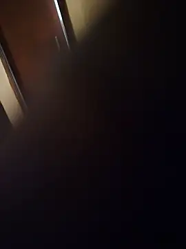 T_jin webcam
