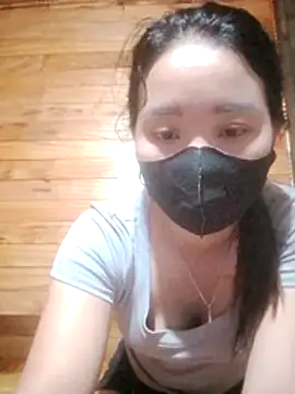 Td3di webcam