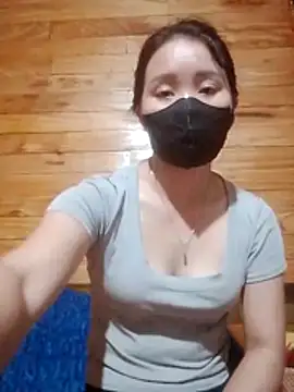 Td3di webcam