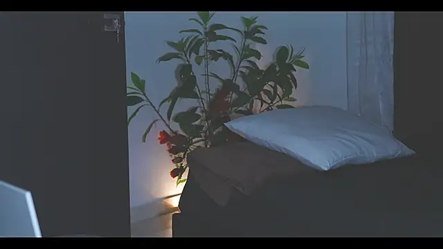 LorenRosse webcam