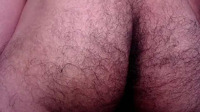 Bull_Xvi webcam