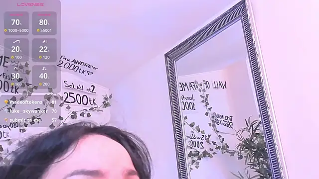 mira0_0 webcam