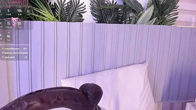 stephanymonroe webcam