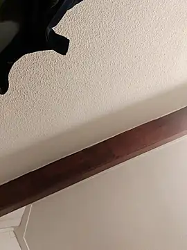 ijustwannafuckyou6969 webcam