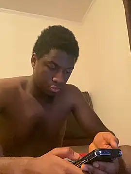 ThickDic28 webcam