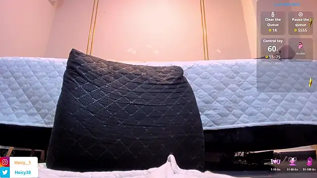 Heicy_ webcam