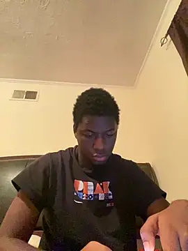 ThickDic28 webcam