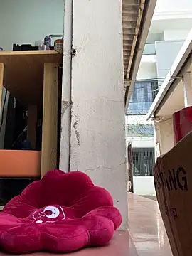 Rose-Public webcam