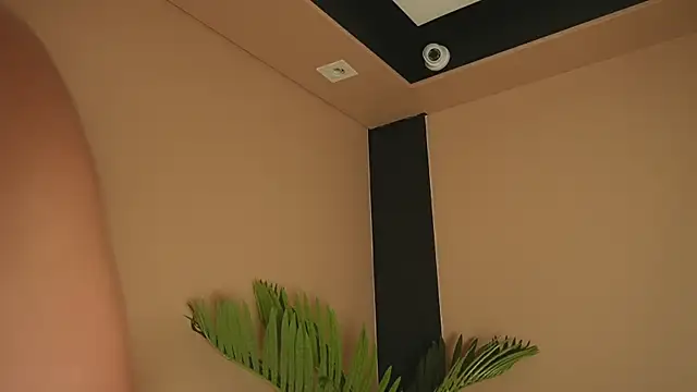 Nanis_dash webcam