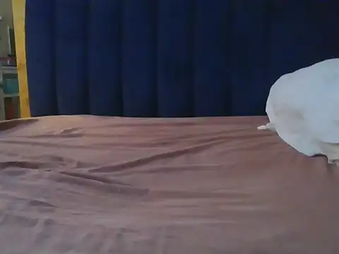 Queen_Mum webcam