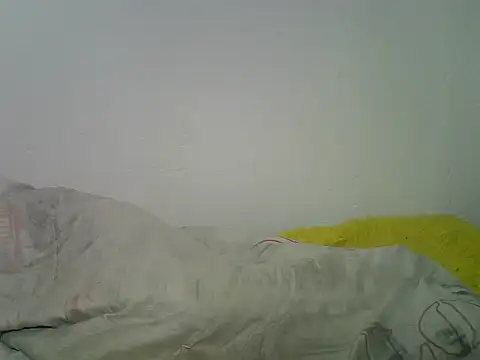 miss-annastasiia webcam