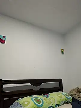 IrisBound webcam