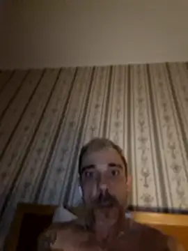 Pollon41x webcam