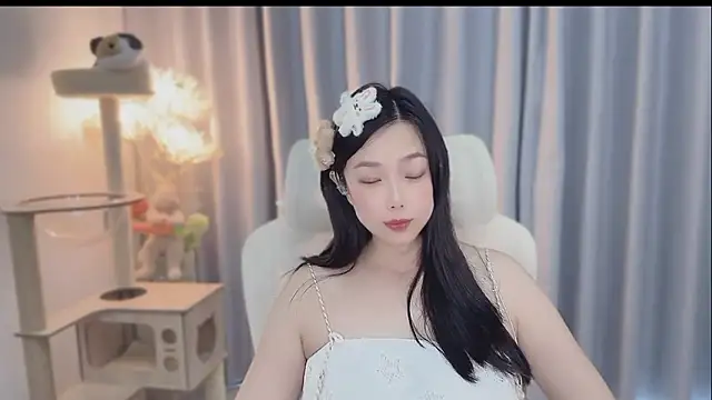 facai-feifei webcam