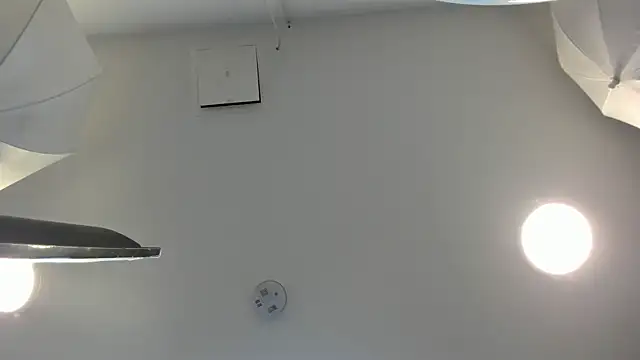 Scarrlet_Fox