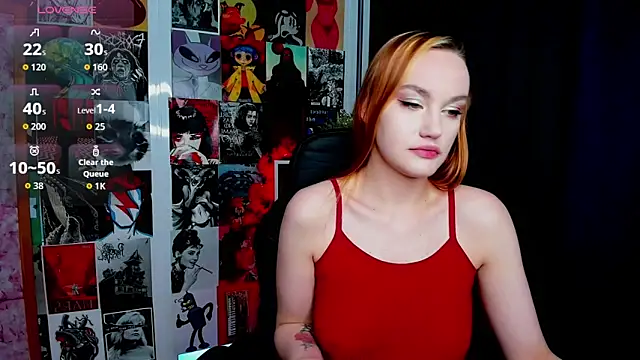 Ida_FaneStain webcam