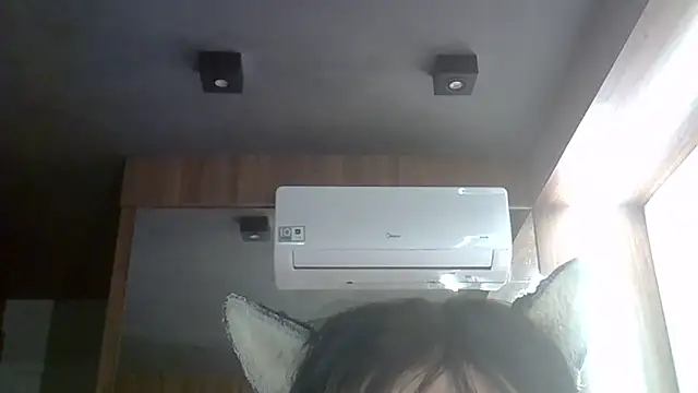 SkinnyKitten webcam