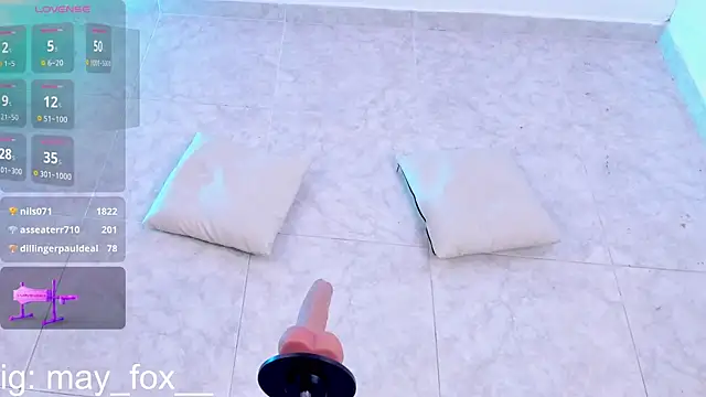 May_Fox_ webcam