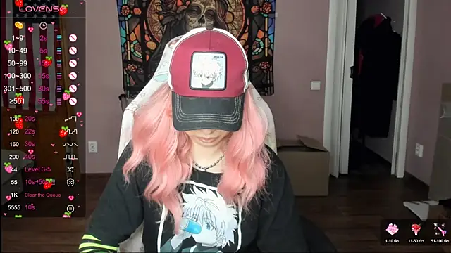 Project_hisoka webcam