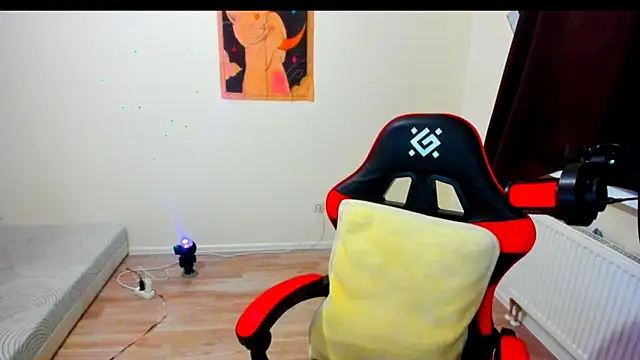 your_tora webcam