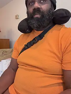 KOdaLion webcam