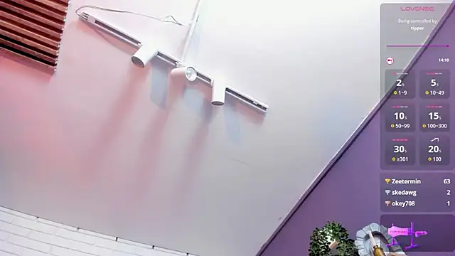 Angell_ross_ webcam