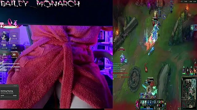 baileymonarch webcam