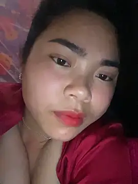 Nul_chal webcam