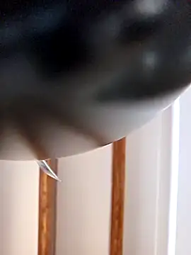 kylie_blck webcam