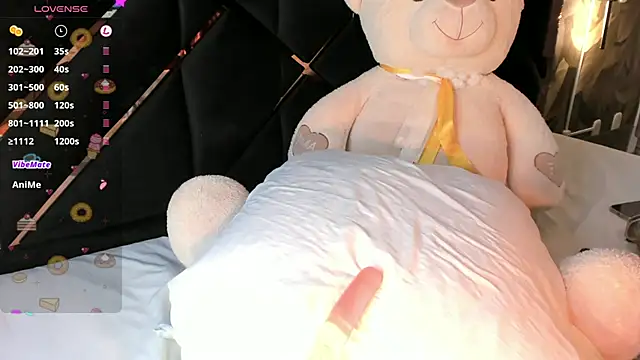 KaelSoft_ webcam