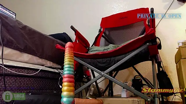 SlammyDjr webcam